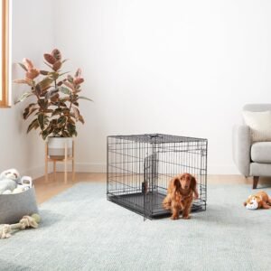 Metal dog cage